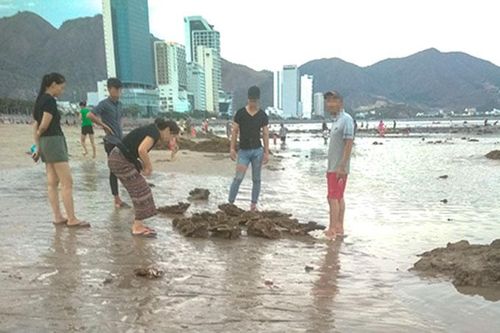 Cần tăng cường bảo vệ rạn san hô gần bờ