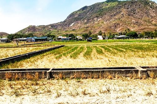 Nỗ lực đảm bảo nguồn nước cho sinh hoạt