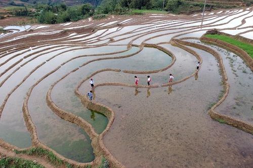 Dạy chữ nơi 'phên dậu'