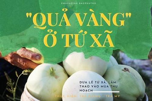 'Quả vàng' ở Tứ Xã