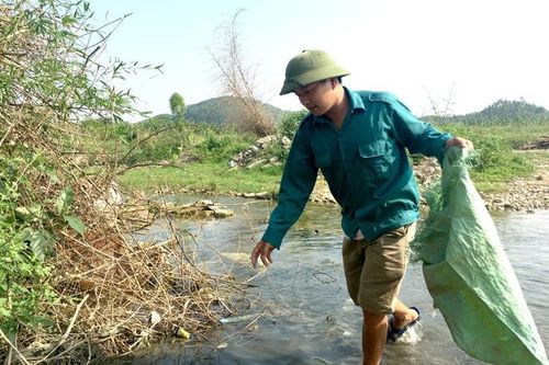 Tình nguyện thu gom rác thải