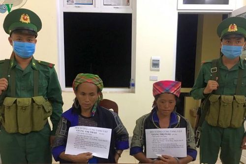 'Nữ quái' vùng biên đổi trâu lấy ma túy để bán kiếm lời