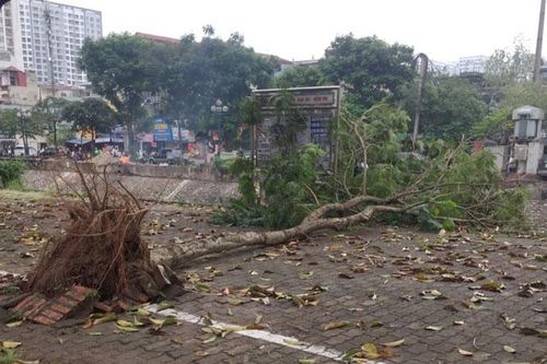 Hà Nội: Tiếp tục mưa, dông, đề phòng lốc, sét, cây đổ