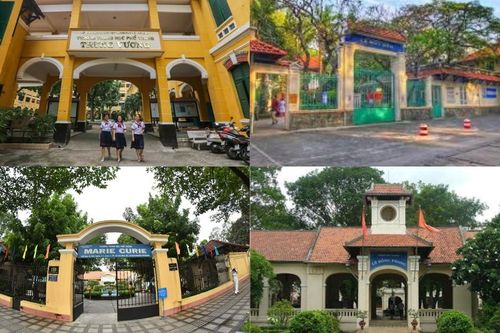 Vụ cây đổ khiến học sinh tử vong: Nguy cơ tiềm ẩn từ cây tuổi đời lâu năm tại các trường