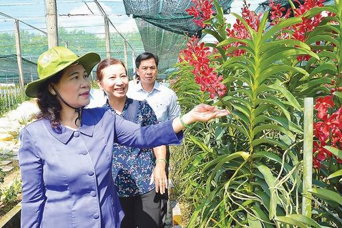 Gỡ vướng về xây dựng công trình phụ trợ phục vụ nông nghiệp