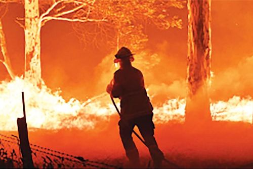 Cháy rừng Australia có chiều hướng gia tăng