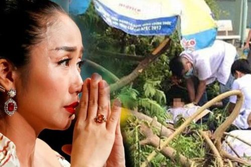 Ốc Thanh Vân đau lòng vụ cây phượng đổ khiến học sinh tử vong