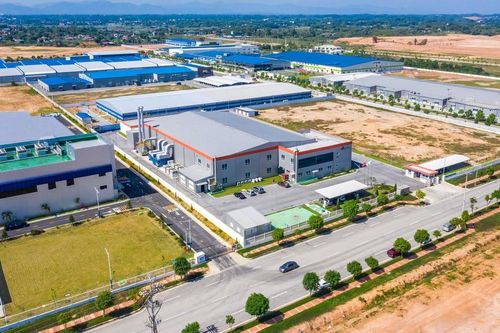 Trải thảm đón sóng đầu tư: Không làm theo phong trào!