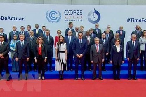 Anh đề xuất tổ chức Hội nghị COP-26 về biến đổi khí hậu vào cuối 2021