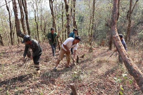 Lai Châu: Huyện Phong Thổ tăng cường phòng chống cháy rừng