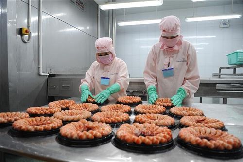 Phát triển ngành thủy sản sau dịch COVID-19 - Bài 1: Đối mặt với khó khăn