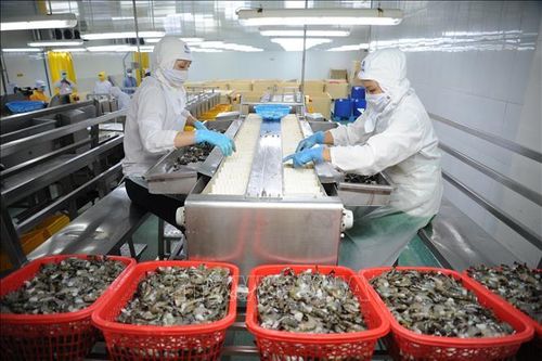 Phát triển ngành thủy sản sau dịch COVID-19 - Bài cuối: Tạo chuyển biến mạnh thu hút đầu tư
