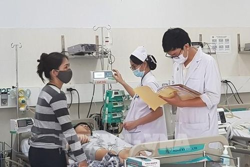 Tp Hồ Chí Minh ứng phó với nguy cơ cây xanh gãy đổ trong mùa mưa