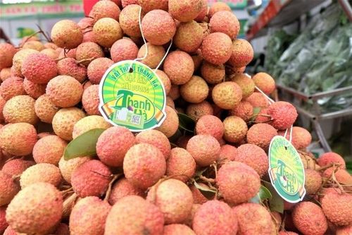 Hà Nội: Sắp diễn ra phiên chợ quảng bá, tiêu thụ vải thiều Thanh Hà và nông sản, thực phẩm an toàn