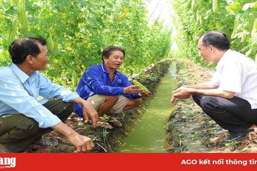 Long An đẩy mạnh chuyển dịch cơ cấu cây trồng, vật nuôi