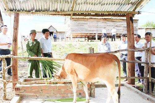 Hội Nông dân tỉnh Gia Lai hỗ trợ hộ nghèo xã Krong