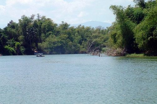 Ưu tiên nguồn nước sông Cái Nha Trang cho sinh hoạt, chăn nuôi
