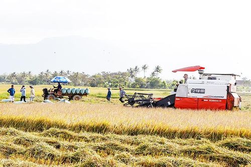 Thúc đẩy chế biến trong nông nghiệp