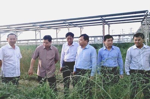 Biến nắng nóng thành tài nguyên