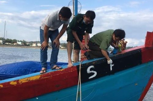 Một chủ tàu phải nộp phạt 900 triệu đồng vì khai thác thủy sản không có giấy phép
