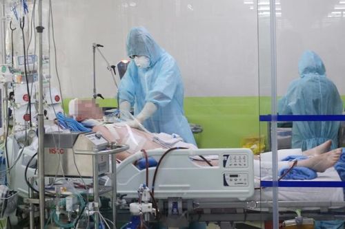 Tổng lãnh sự quán Anh gửi thư cảm ơn Việt Nam