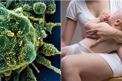 Chuyên gia Nga: Protein sữa mẹ có thể là 'chìa khóa' trong cuộc chiến chống COVID-19