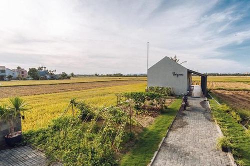 Mê mẩn với không gian sống của ngôi nhà cấp 4 giữa lòng Hội An