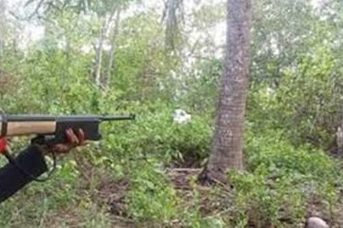 Nã đạn vào bạn săn vì tưởng là thú rừng