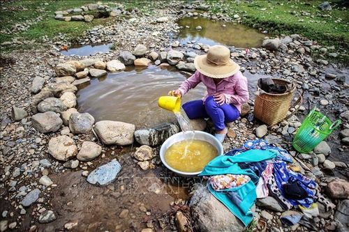 Triển khai kết luận của Thủ tướng Chính phủ tại Hội nghị phòng, chống thiên tai, tìm kiếm cứu nạn năm 2020