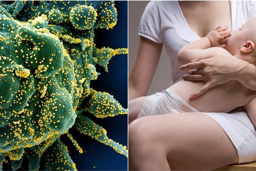 Sữa mẹ có thể là 'chìa khóa' trong điều trị COVID-19