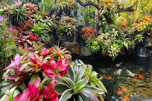 Ngỡ ngàng với khu vườn 300m2 đẹp như 'tiên cảnh' giữa TP Cần Thơ