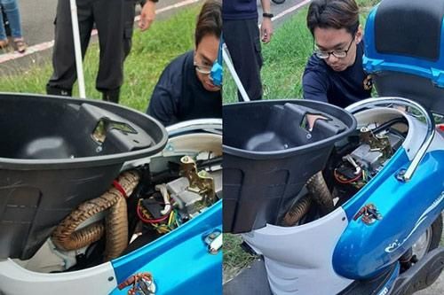 Xe điện bất ngờ không khởi động được, người đàn ông mở cốp kiểm tra thì thấy cảnh tượng 'tái mặt'
