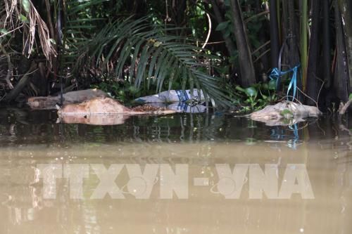 Thông qua Dự thảo Đề án Hậu Giang xanh đến năm 2025, định hướng 2030