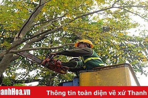 Lên 'dây cót' trách nhiệm