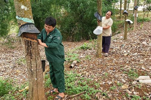 Ðể người lao động vơi bớt nhọc nhằn