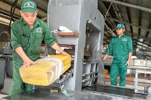 Bình quân mỗi năm tạo việc làm mới cho gần 12.000 lao động