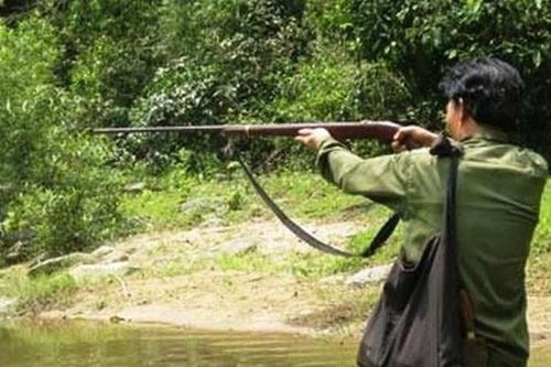 Cùng đi săn, con trai bị bố bắn nhầm