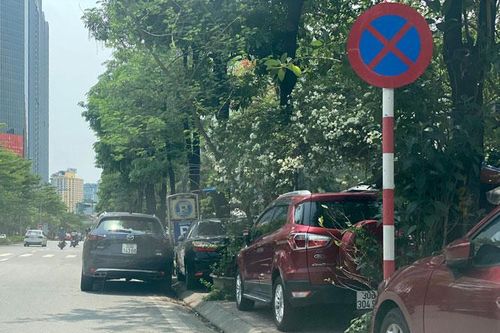 Xử lý nghiêm với vi phạm biển báo