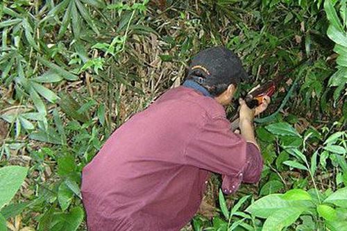 Điện Biên: Bố bắn chết con vì tưởng nhầm là thú