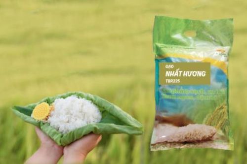 6 loại gạo tốt cho người bệnh, người già, trẻ nhỏ