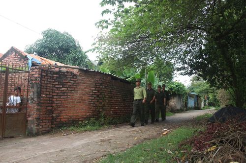 Hà Nội: Cắt tỉa cây xanh đảm bảo an toàn trong các trường học