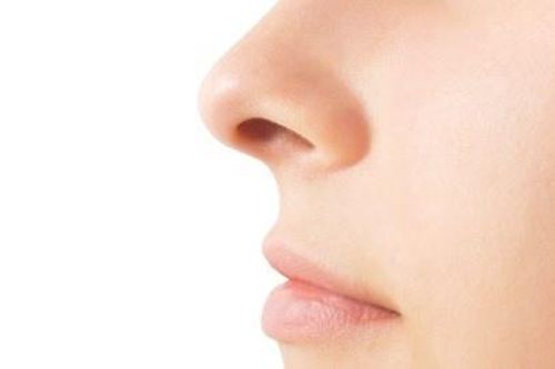 Phát hiện vi khuẩn mới trong mũi