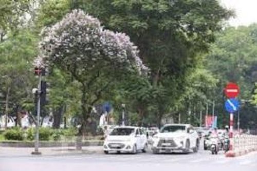 Xuất hiện chỉ số kém