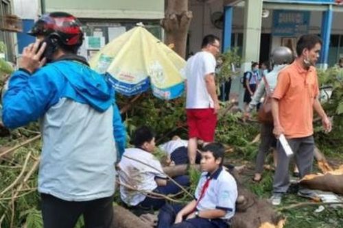Không khai tử 'cây tử thần' bây giờ, còn chờ lúc nào?