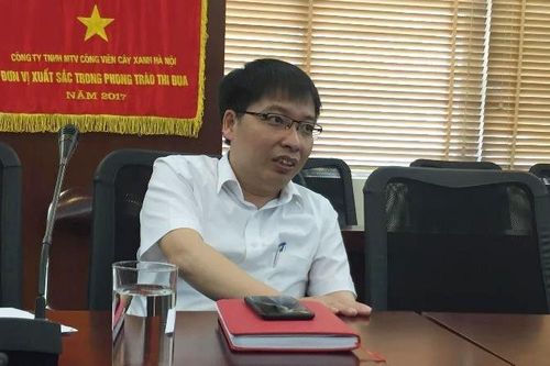 'Đoán' nguy cơ cây xanh gãy đổ cách nào?