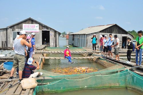 Du lịch ĐBSCL thiệt hại nặng do dịch COVID - 19