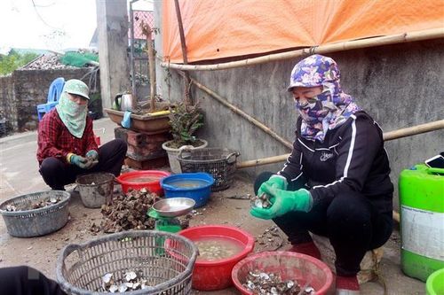 Người dân Quảng Ninh có thể tự tra cứu tin hỗ trợ khó khăn do COVID-19