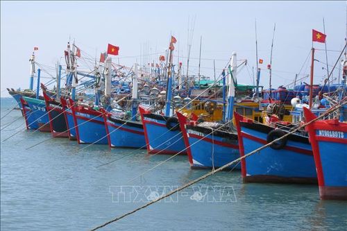 Khắc phục 'thẻ vàng' IUU: Kiểm soát chặt hoạt động tàu cá