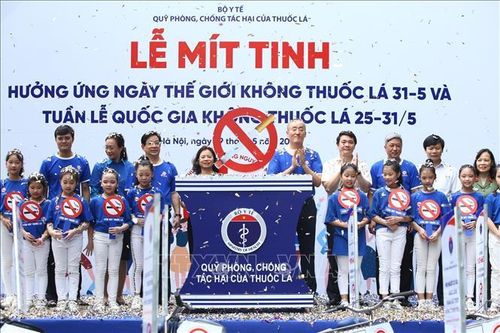 Ngày thế giới không thuốc lá 31/5: Bảo vệ thanh thiếu niên khỏi tác động của thuốc lá