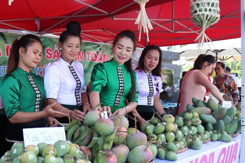 Nông sản Sơn La: Đồng bộ sản xuất theo tiêu chuẩn VietGap
